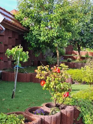 Ein Garten an der Unterkunft Idylle
