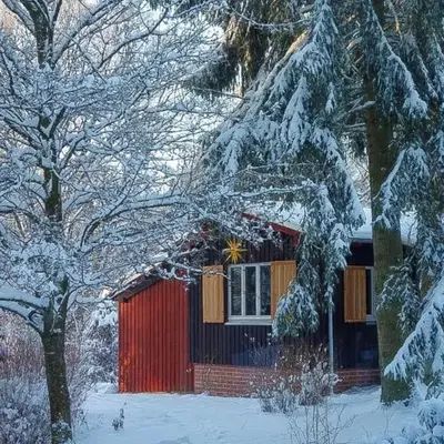 Forest-Edge Apartment