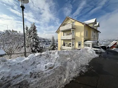 Schöngrün im Winter