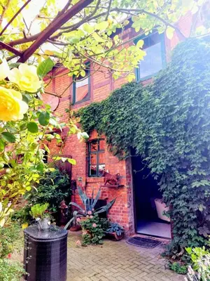 Ein Garten an der Unterkunft TheBackyard