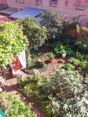 Ein Garten an der Unterkunft TheBackyard