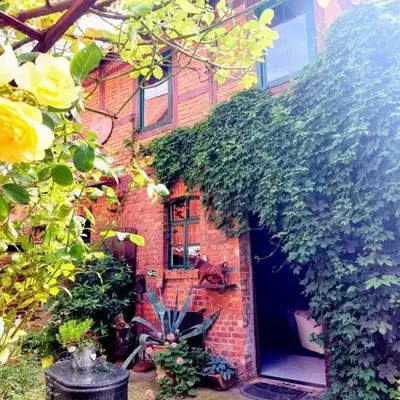 TheBackyard