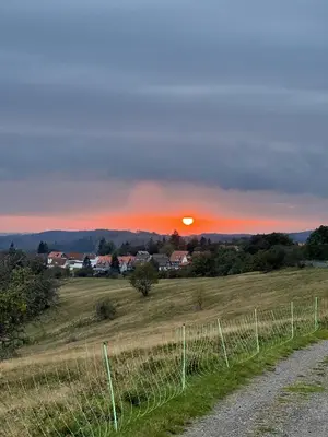 Naturlandschaft in der Nähe der Ferienwohnung