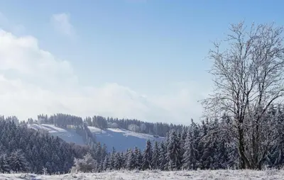Ferienhauspark Hasselfelde im Winter