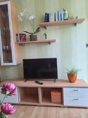 TV/Unterhaltungsangebot in der Unterkunft Harzgefühl