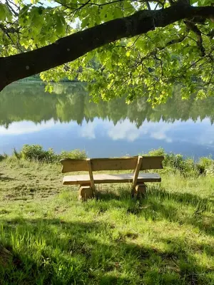 Naturlandschaft in der Nähe der Ferienwohnung
