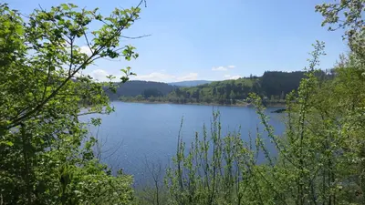 Naturlandschaft in der Nähe der Ferienwohnung