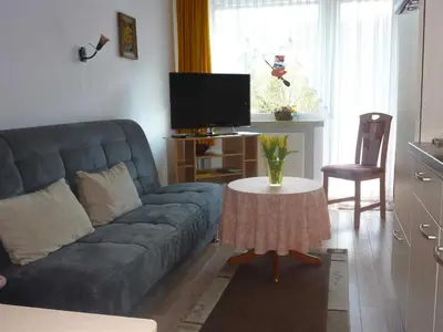 TV/Unterhaltungsangebot in der Unterkunft Ferienwohnung Brüggemann