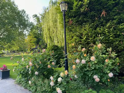 Ein Garten an der Unterkunft Ferienhaus Ilsenburg, luxuriöse Landhäuser mit Sauna und Kamin, mitten im Harz