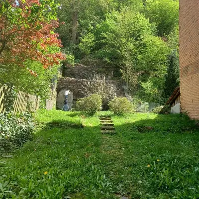 Ein Garten an der Unterkunft Haus Cona