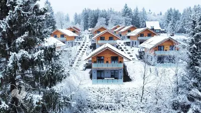 Hahnenklee Ferienchalets im Winter