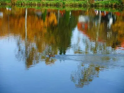 Blick auf einen Fluss in der Nähe des Ferienhauses