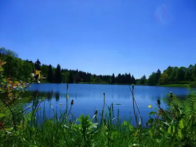 Naturlandschaft in der Nähe des Ferienhauses