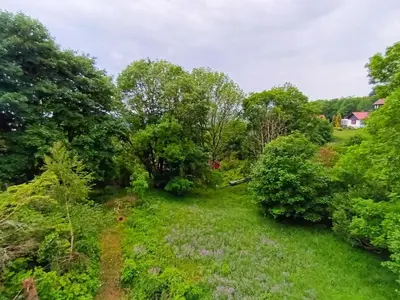 Naturlandschaft in der Nähe der Ferienwohnung
