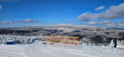 Ferienhaus Herman Grote- Harz im Winter