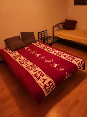 Ein Bett oder Betten in einem Zimmer der Unterkunft HBS TOP- PREIS, 2 Zimmer SD FeWo, 2x Doppelbett, 1 Einzelbett möglich 54 qm, große Küche Bad WC Einfach und gut VB-Preis
