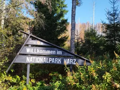Naturlandschaft in der Nähe der Ferienwohnung