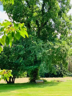 Ein Garten an der Unterkunft Jagdschloss Walkenried - Hotel Residenz