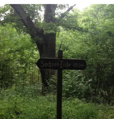 Naturlandschaft in der Nähe der Ferienwohnung
