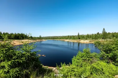 Naturlandschaft in der Nähe des Ferienhauses