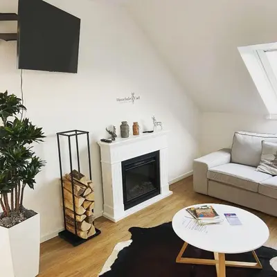 TV/Unterhaltungsangebot in der Unterkunft Herzchalet Carl