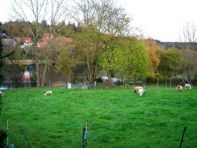 Naturlandschaft in der Nähe des Ferienhauses