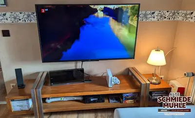 TV/Unterhaltungsangebot in der Unterkunft Arode Alte Schmiedemühle