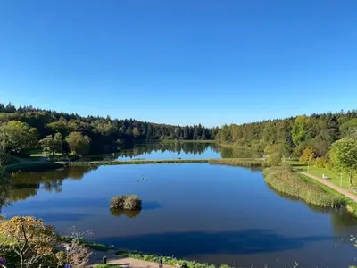 Naturlandschaft in der Nähe der Ferienwohnung