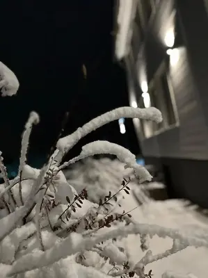 Lieblingsquartier - Wohnung 10 im Winter