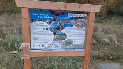 Naturlandschaft in der Nähe der Ferienwohnung