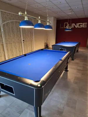 Ein Billardtisch in der Unterkunft Apartment Süd-Panorama mit Pool & Sauna
