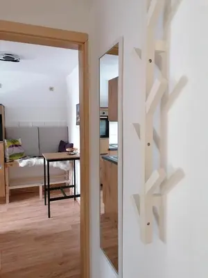 TV/Unterhaltungsangebot in der Unterkunft Haus am Fluss