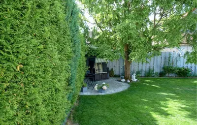 Ein Garten an der Unterkunft Pet Friendly Home In Bad Harzburg