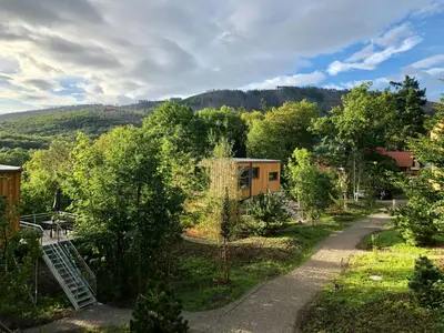 Naturlandschaft in der Nähe des Ferienhauses