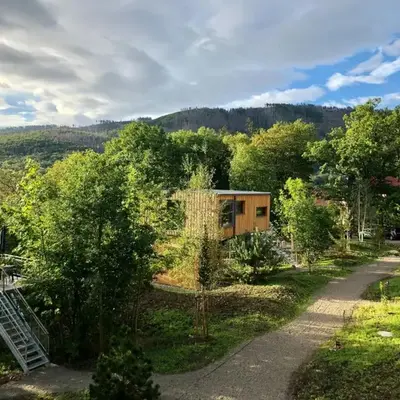 Discover The Harz National Park From A Tree House