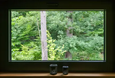 Ein Garten an der Unterkunft Experience Nature In A Loft At Treetop Height
