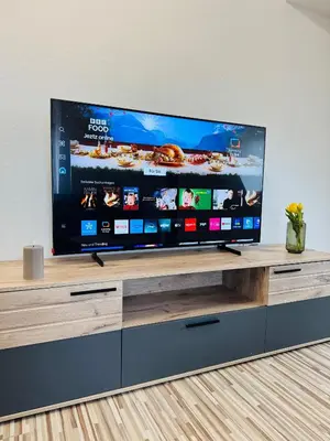 TV/Unterhaltungsangebot in der Unterkunft Magische Auszeit im Harz mit Schlossblick