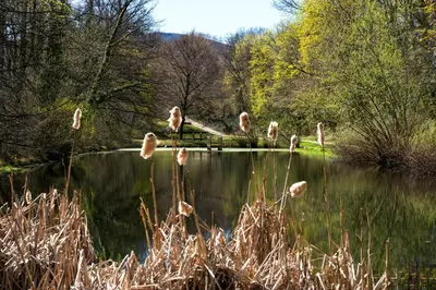 Naturlandschaft in der Nähe der Ferienwohnung