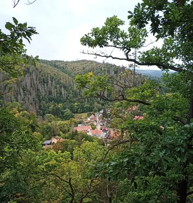 Naturlandschaft in der Nähe des Hotels