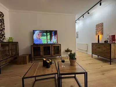 TV/Unterhaltungsangebot in der Unterkunft Apartment Bellevue Bad Harzburg