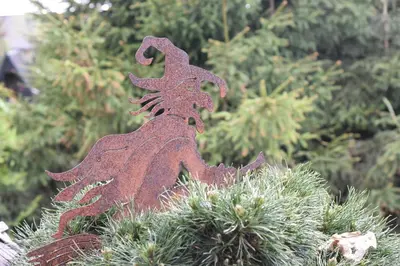 Ein Garten an der Unterkunft Roter Beer