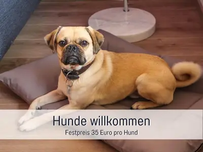 Grundriss der Unterkunft Marks Fewo neu