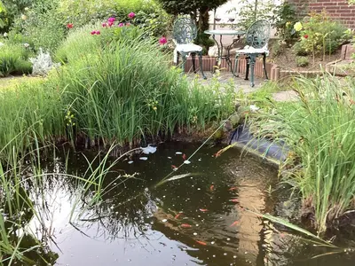 Ein Garten an der Unterkunft Ferienwohnung Krapohl