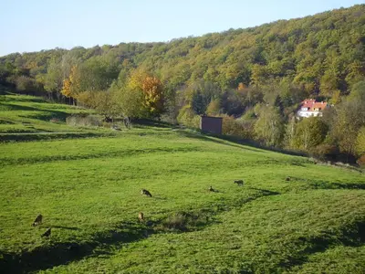 Naturlandschaft in der Nähe der Pension