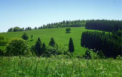 Naturlandschaft in der Nähe des Ferienhauses