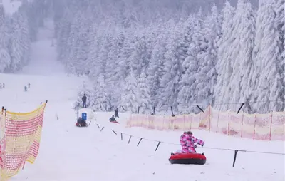 Ferienhauspark Hasselfelde im Winter