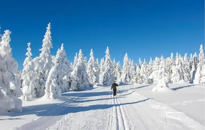 Ferienhauspark Hasselfelde im Winter