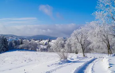 Ferienhauspark Hasselfelde im Winter