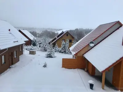 Waldstück im Winter