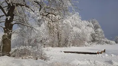 Ferienhaus Fuchswinkel im Winter